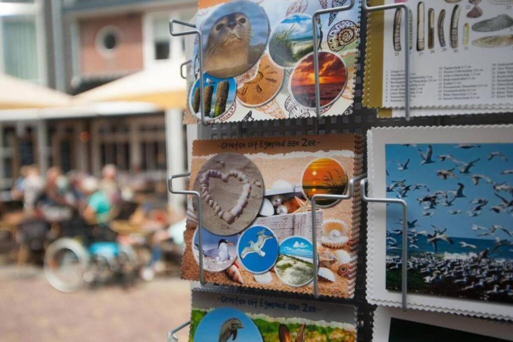 Gastenverblijf Janssen In Schagen Zewnętrze zdjęcie