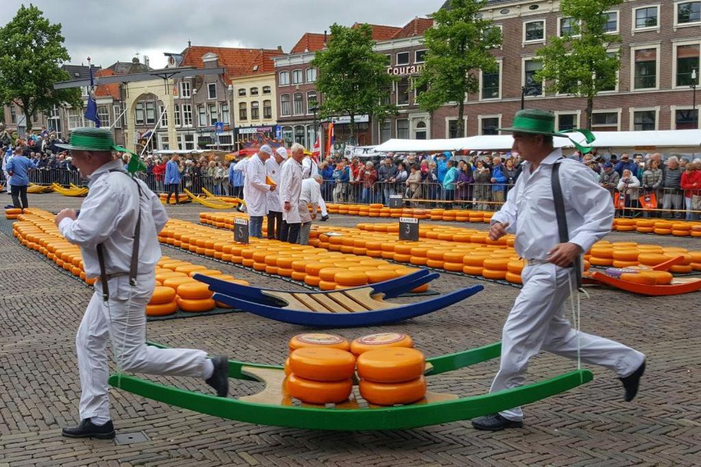 Gastenverblijf Janssen In Schagen Zewnętrze zdjęcie